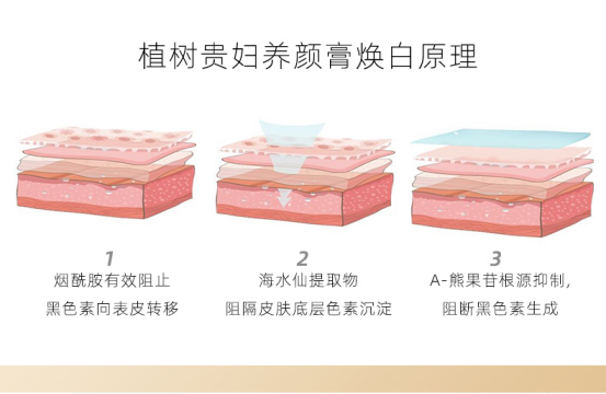 是心動的感覺，讓你化妝護膚兩不誤的神仙養顏膏，“他”來了