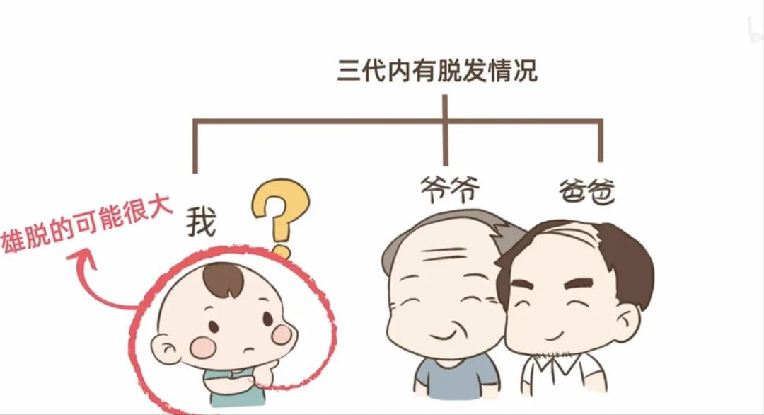 科普 | 如何判斷脂溢性脫發？(圖1)