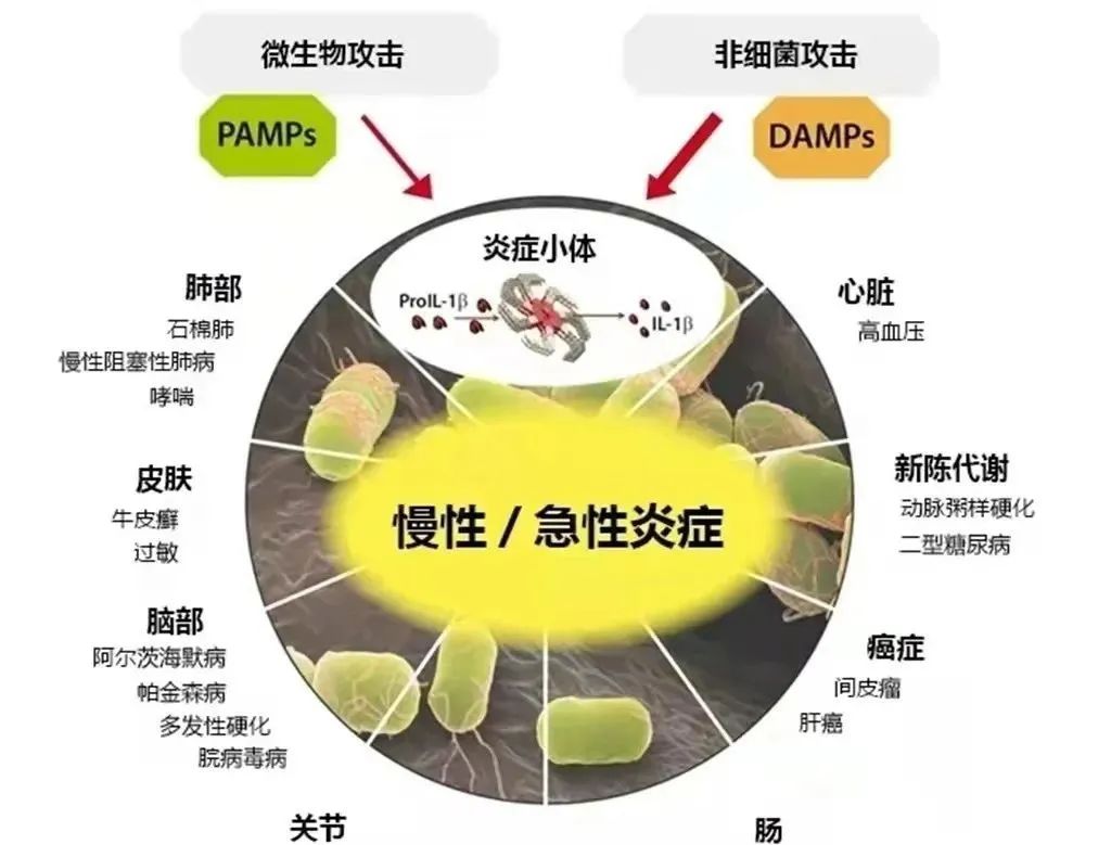 細胞?？膊〉淖锟準?，干細胞有效減輕炎癥反應(圖2)